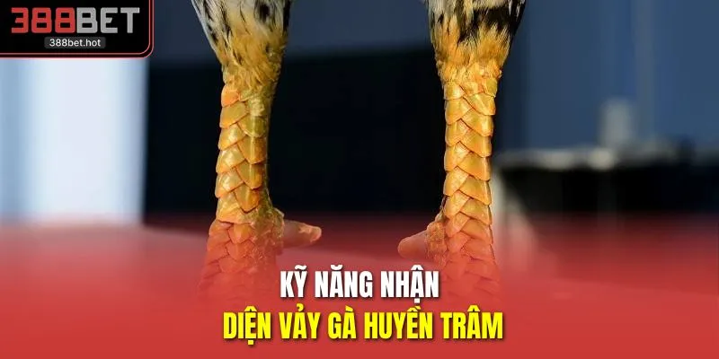 Kỹ năng nhận diện vảy gà huyền trâm