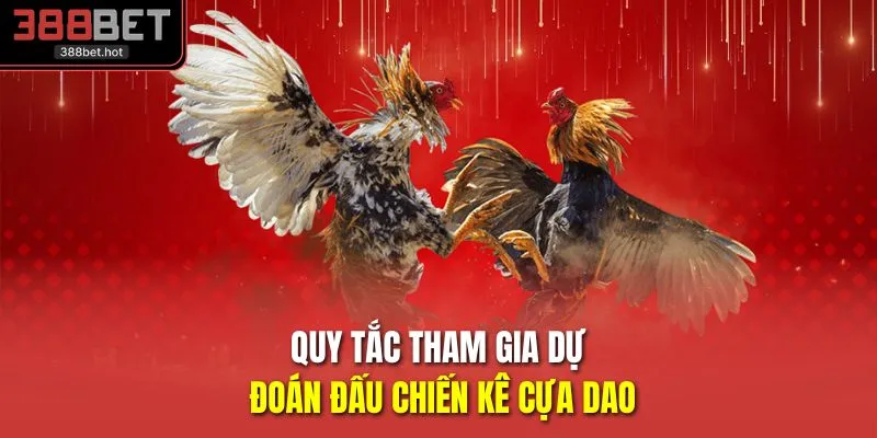 Quy tắc tham gia dự đoán đấu chiến kê cựa dao