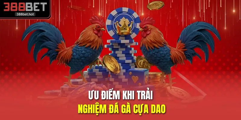 Ưu điểm khi trải nghiệm đá gà cựa dao